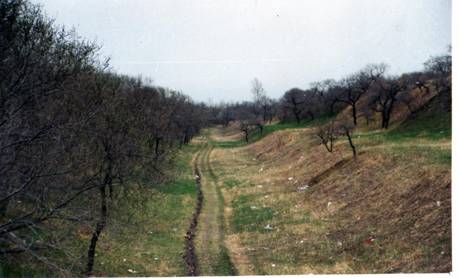 3.八里城遗址北城壕.JPG